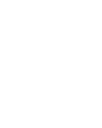 Lock Repair/Replace